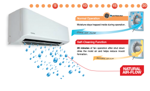 self cleaning function